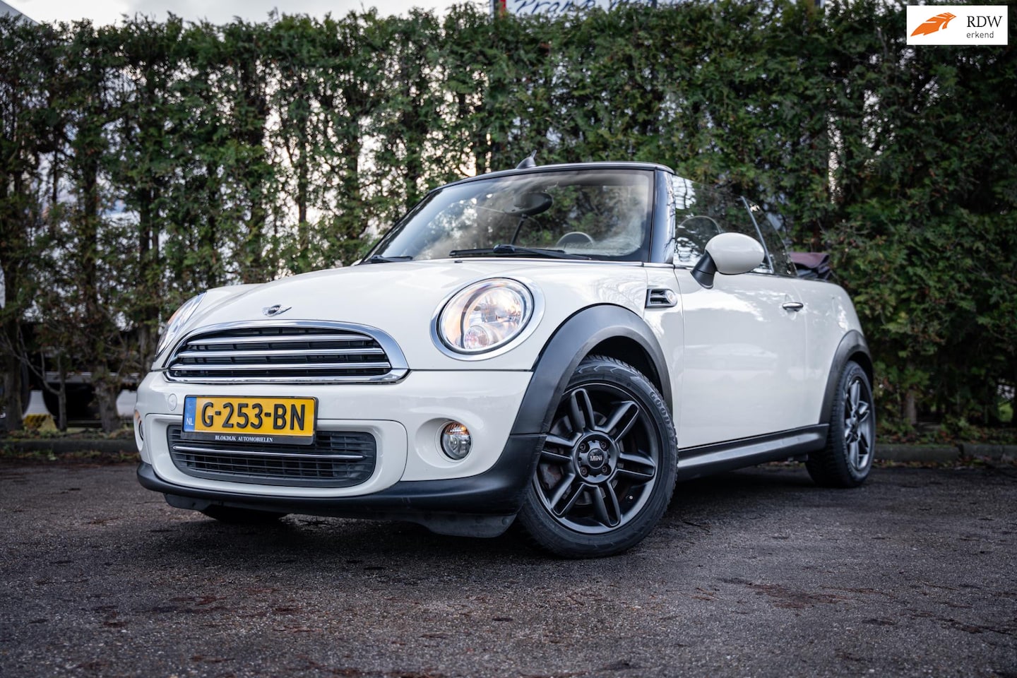 MINI Cabrio - Mini Stoelverw Leder Navi - AutoWereld.nl