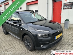 Citroën C4 Cactus - 1.6 BlueHDi Pano Camera