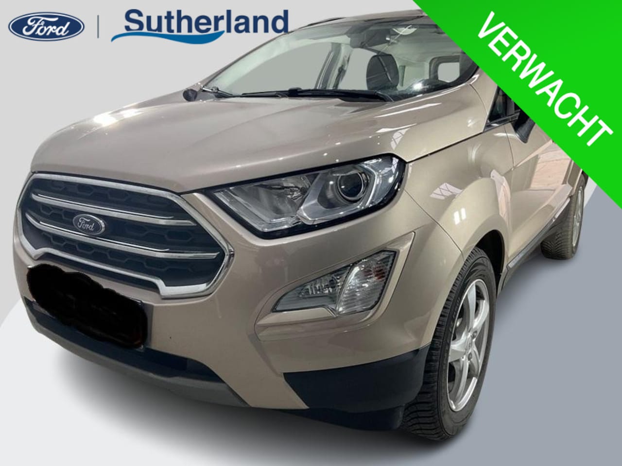 Ford EcoSport - 1.0 EcoBoost Titanium | Winter Pack | Navigatie | Lichtmetalen velgen | Onderhoudshistorie - AutoWereld.nl