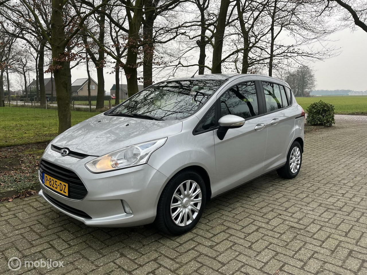 Ford B-Max - 1.0 EcoBoost Style All in rijklaar - AutoWereld.nl