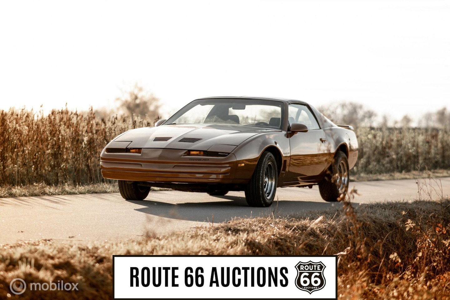 Pontiac Firebird - Trans Am 1986 | Route 66 auctions - AutoWereld.nl