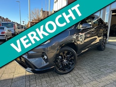 Toyota RAV4 - 2.5 Hybrid AWD Executive|Bi-Tone|JBL|Vol opties