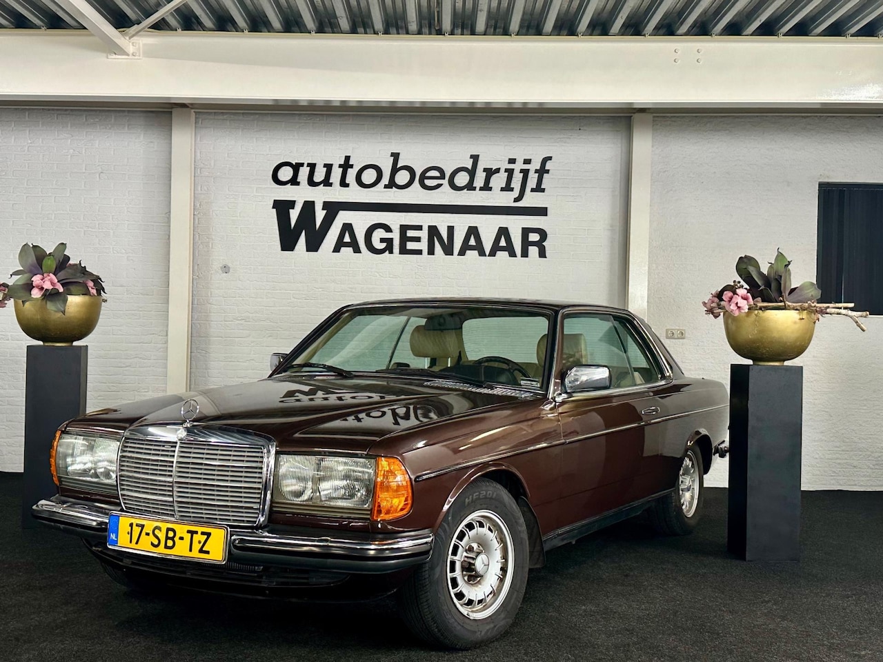 Mercedes-Benz 200-280 (W123) - 230 CE 230 CE - AutoWereld.nl