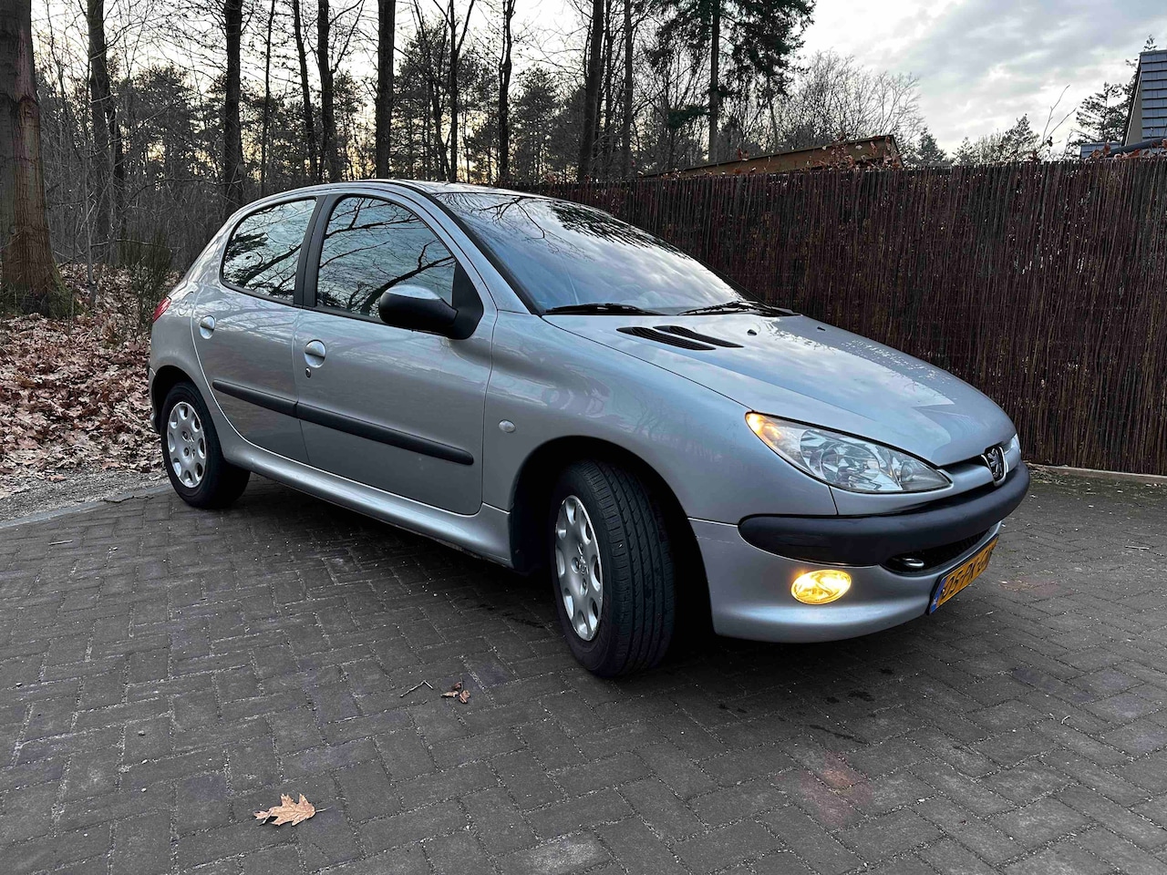 Peugeot 206 - 1.6-16V Gentry - AutoWereld.nl