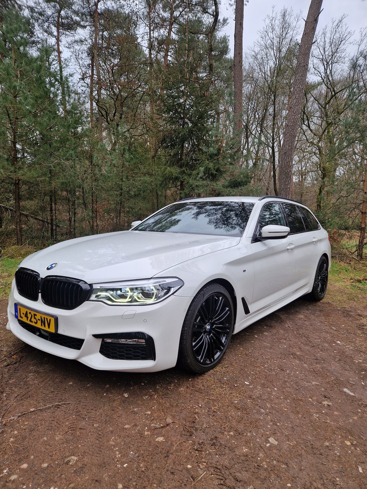 BMW 5-serie Touring - 540d xDrive High Executive - AutoWereld.nl