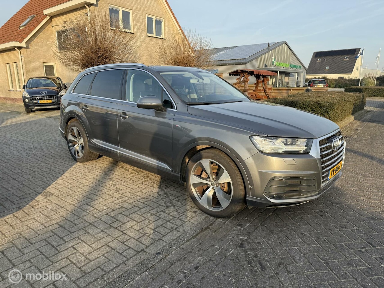 Audi Q7 - 3.0 TDI quattro Pro Line 7p 3.0 TDI quattro Pro Line + 7p - AutoWereld.nl