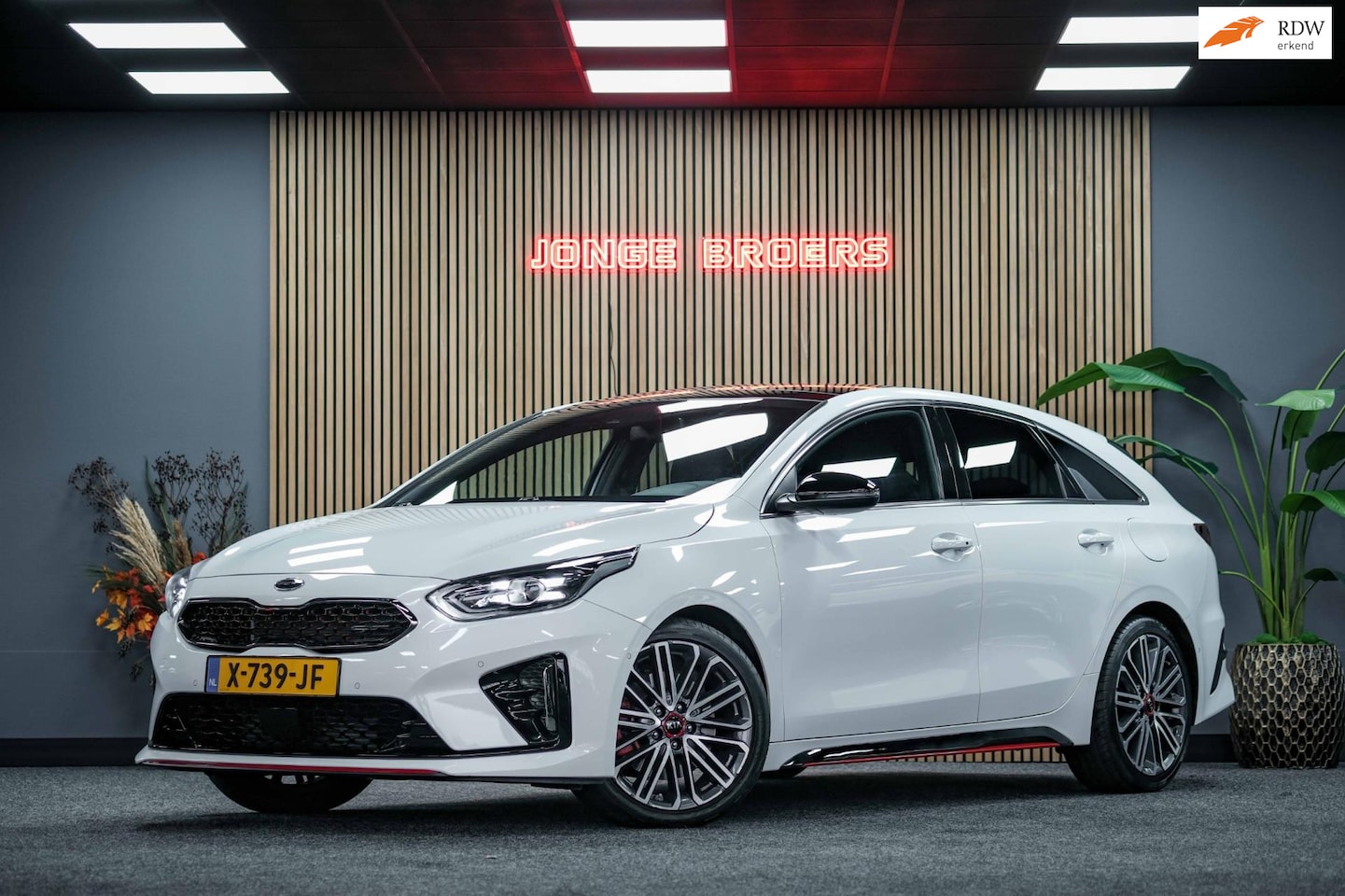 Kia Pro cee'd - 1.6 T-GDI GT | Rijk aan opties - AutoWereld.nl