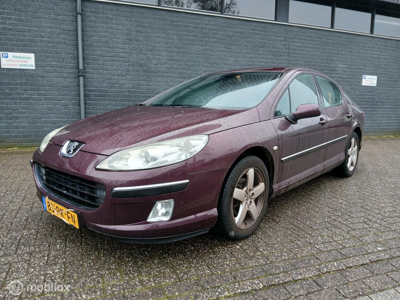 Peugeot 407 - 2.0-16V XR 158.000Km/Apk 08-'25 - AutoWereld.nl