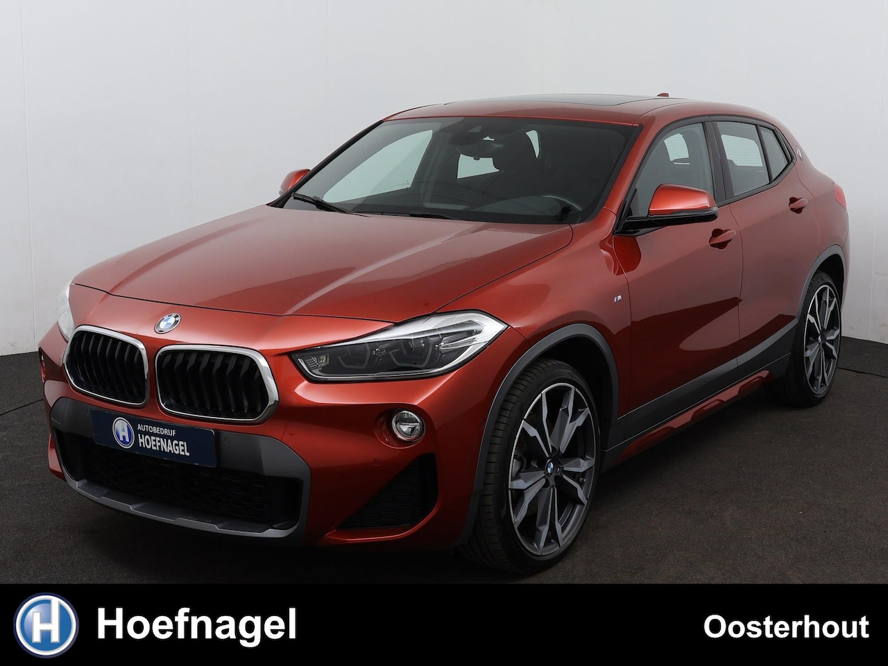 BMW X2 - SDrive20i High Executive M Sport Automaat | Panoramadak | Camera | Climate Control - AutoWereld.nl