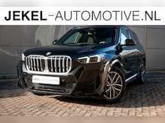 BMW X1 - sDrive20i M-Sport, Panoramadak, 18" LM velgen, enz