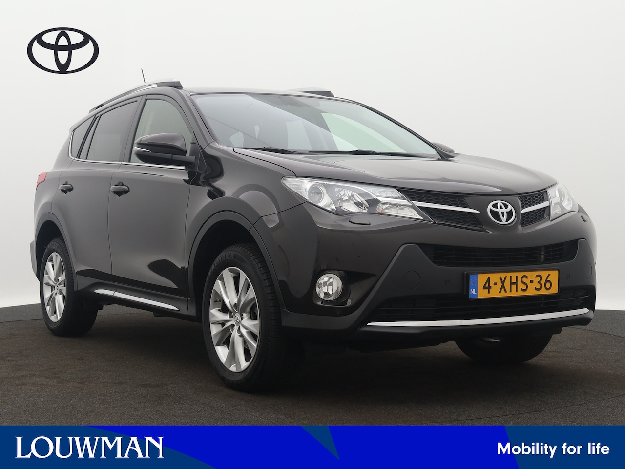 Toyota RAV4 - 2.0 Executive Business 4WD | JBL | Navigatie | Camera | LM velgen | Stoelverwarming | Crui - AutoWereld.nl