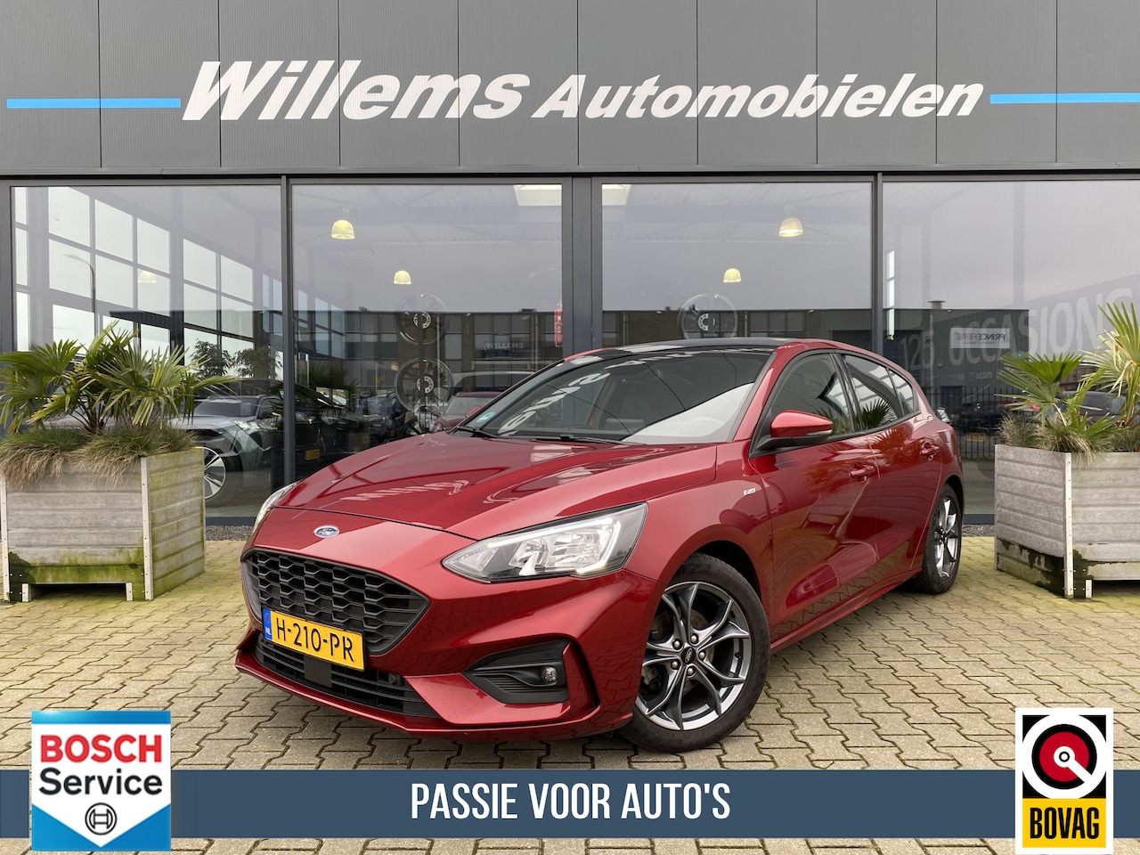 Ford Focus - 1.0 EcoBoost ST Line Business App-Connect, Schuifkanteldak & Stoelverwarming - AutoWereld.nl