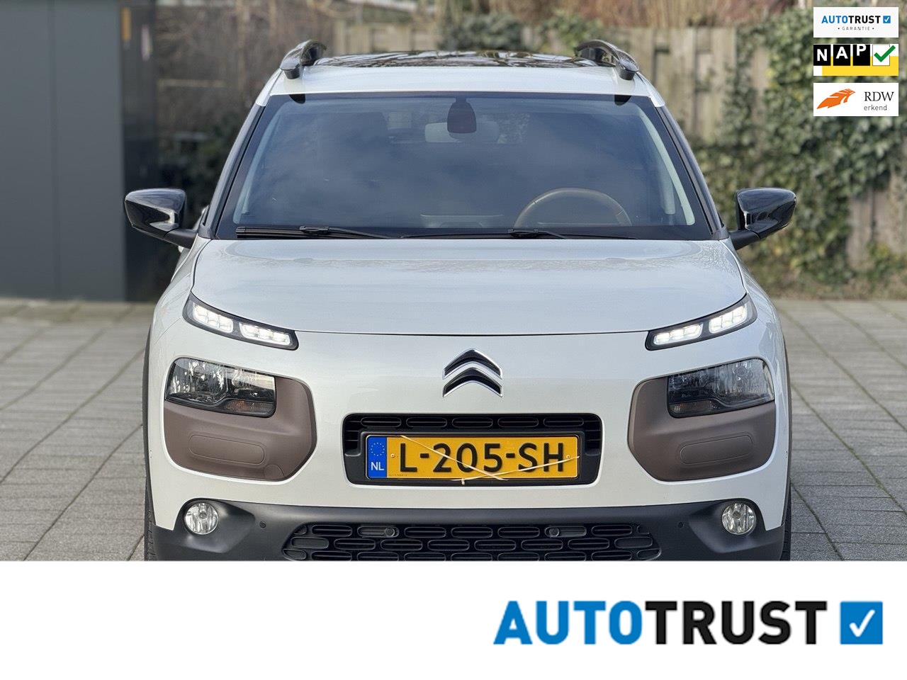 Citroën C4 Cactus - 1.2 PureTech Business Plus 1.2 PureTech Business Plus , panorama dak, aluminium velgen, 6 - AutoWereld.nl