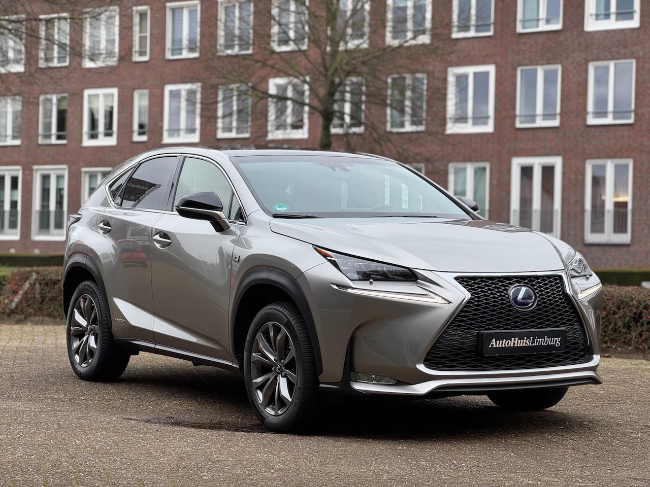 Lexus NX - 300h AWD F Sport Line||Pano|Camera|Leer|Sublieme staat - AutoWereld.nl