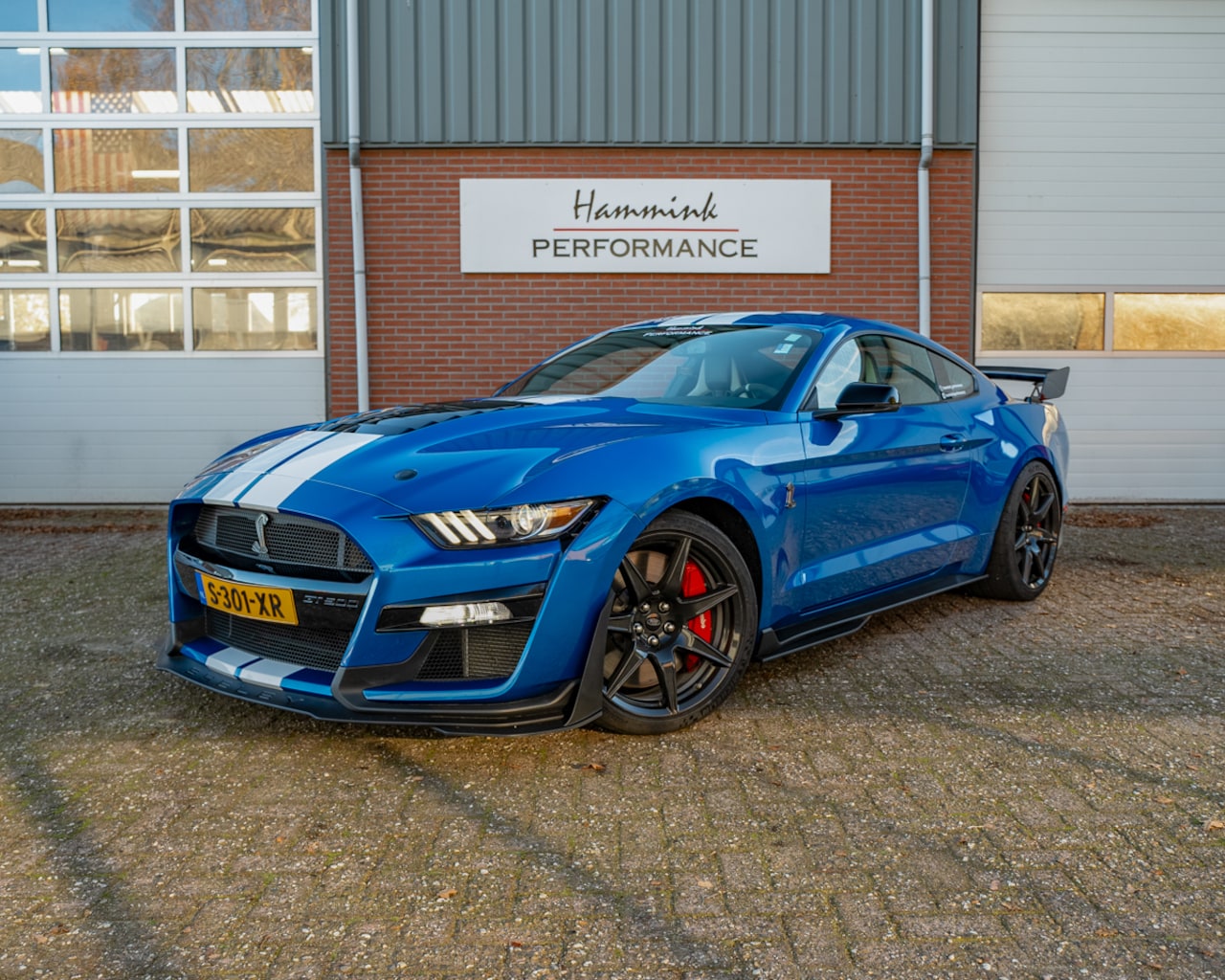 Ford Mustang - Shelby GT500 Velocity Blue - AutoWereld.nl