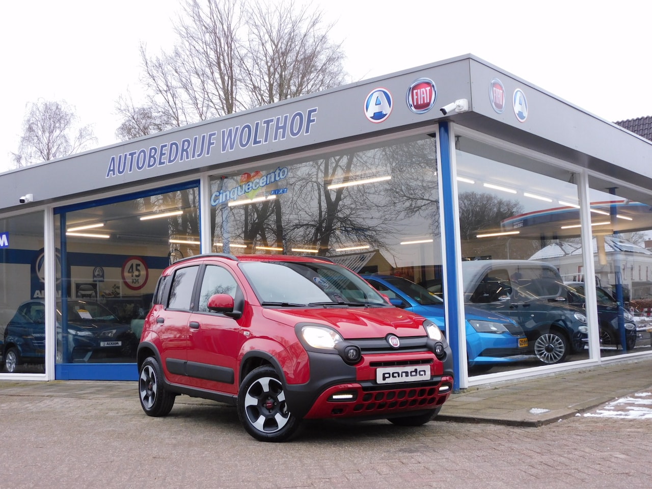 Fiat Panda - 1.0 Hybrid RED Cross - AutoWereld.nl