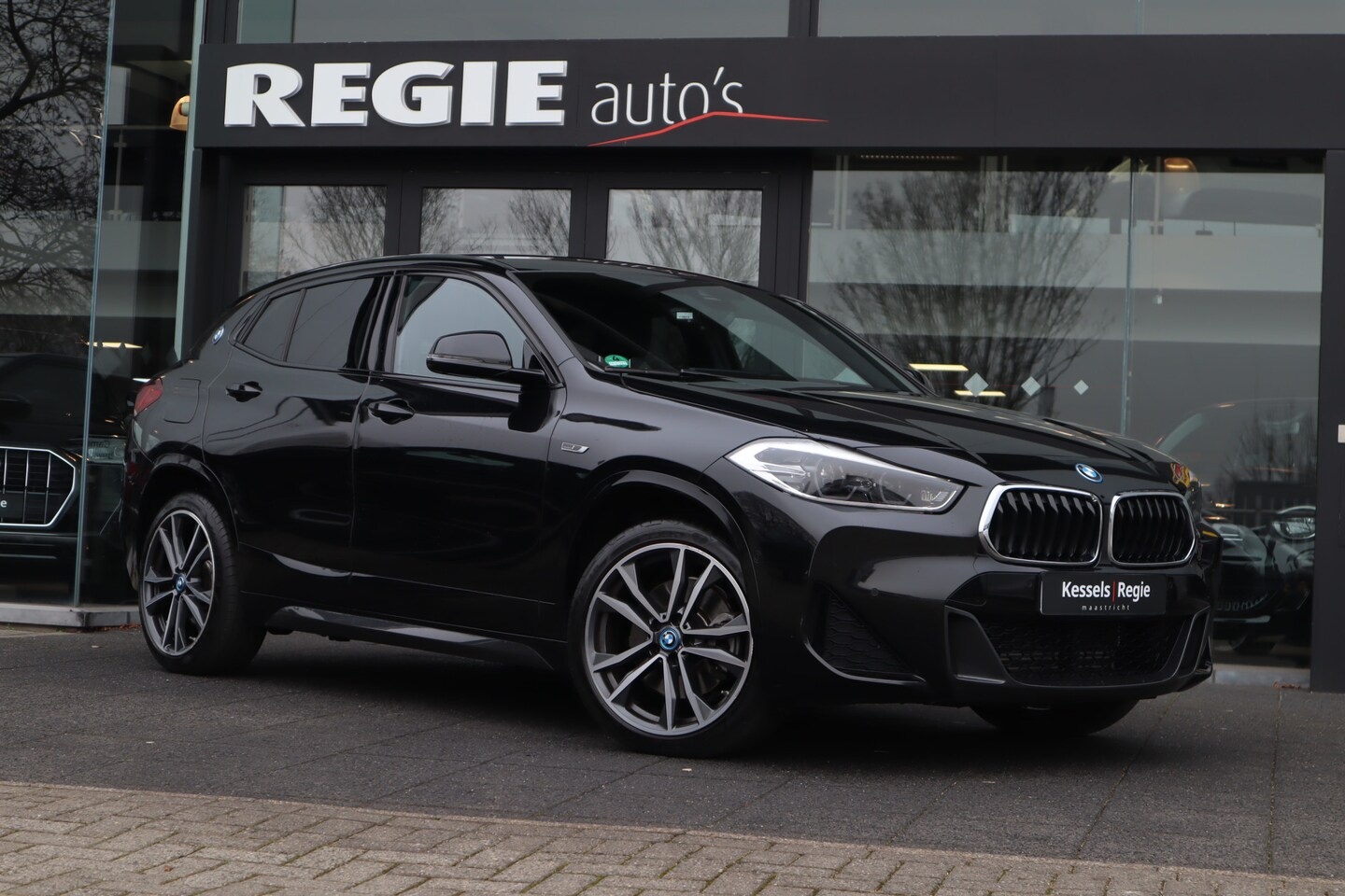 BMW X2 - xDrive25e M-Sport Leer Led Navi Camera HuD - AutoWereld.nl