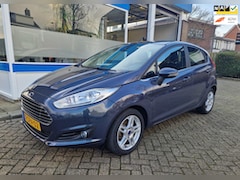 Ford Fiesta - 1.0 EcoBoost Titanium AUTOMAAT