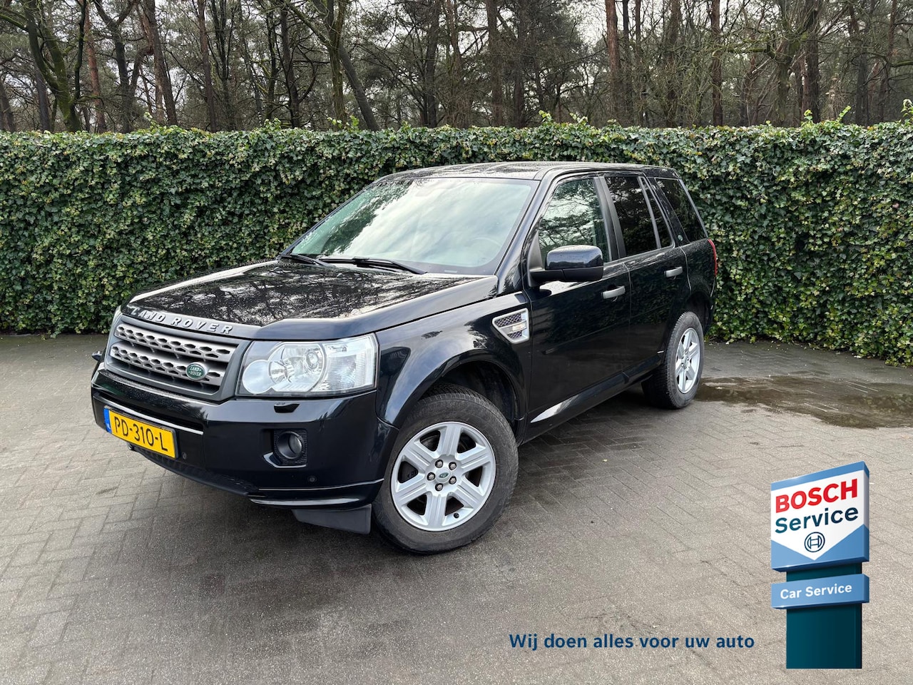 Land Rover Freelander - 2.2 TD4 SE Automaat | Leer | Cruise Control - AutoWereld.nl