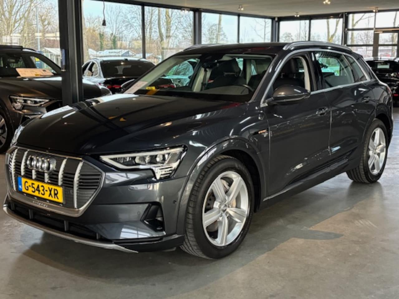 Audi e-tron - 50 quattro 313pk Launch Edition Plus Dak/leer - AutoWereld.nl