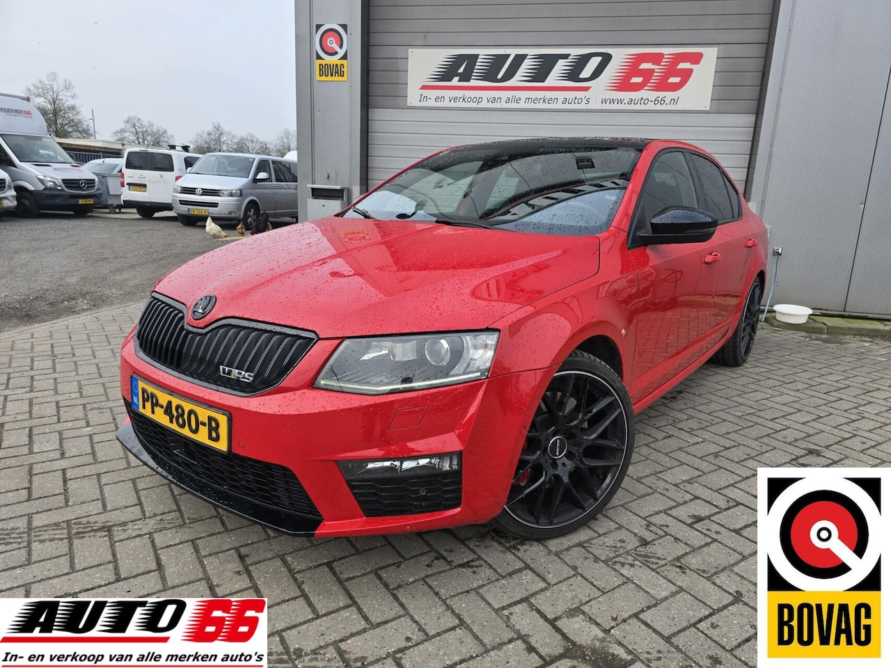 Skoda Octavia - 2.0 TSI RS 230 2.0 TSI RS 230 - AutoWereld.nl