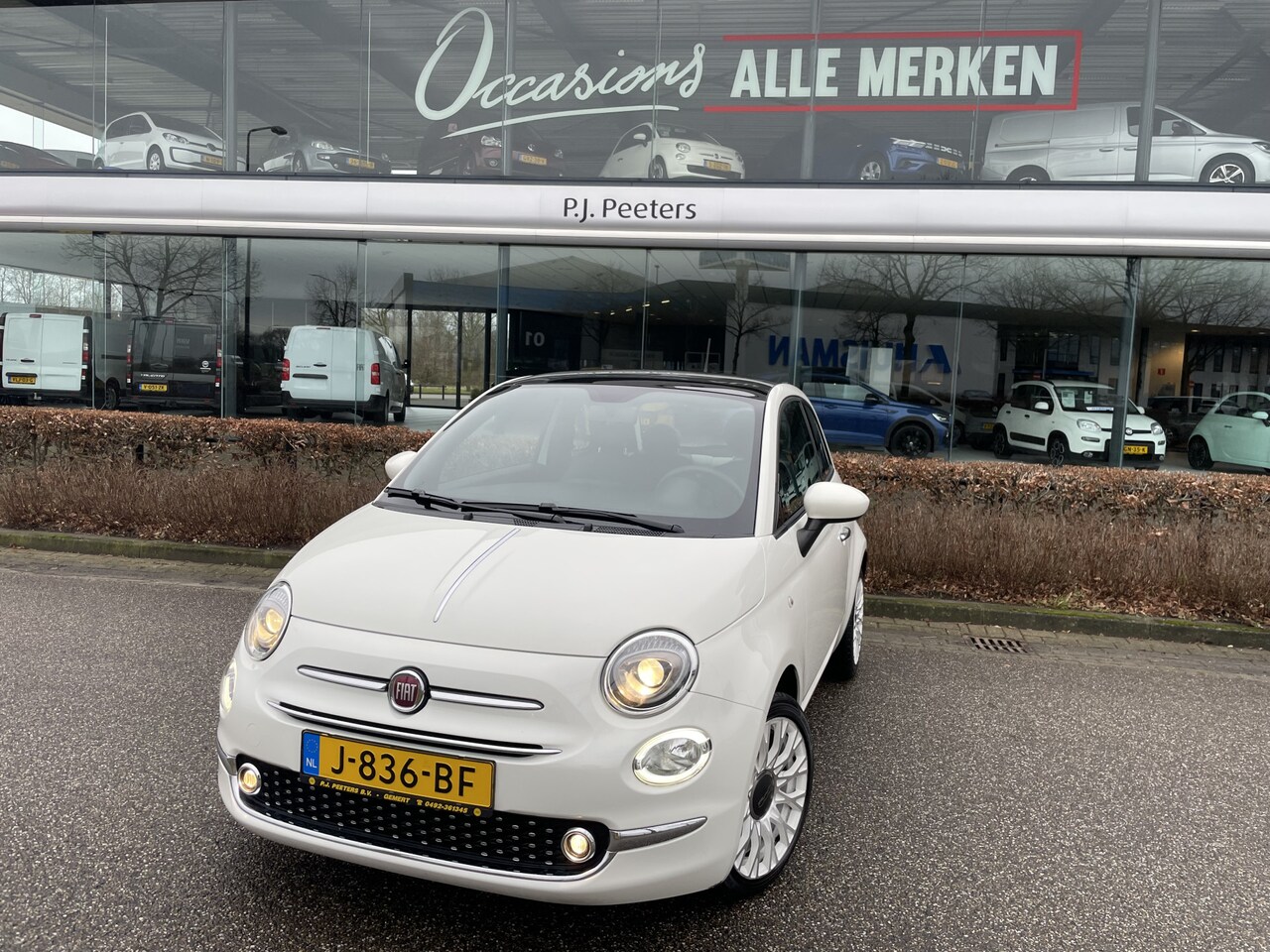 Fiat 500 - 1.0 Hybrid Star Mistlampen - Licht metalen velgen 16inch - parkeersensoren achter - Ledere - AutoWereld.nl