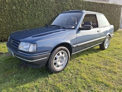 Peugeot 309 - XR - 1990