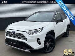 Toyota RAV4 - 2.5 Hybrid AWD Bi-Tone Schuif/kanteldak, Zeer nette auto