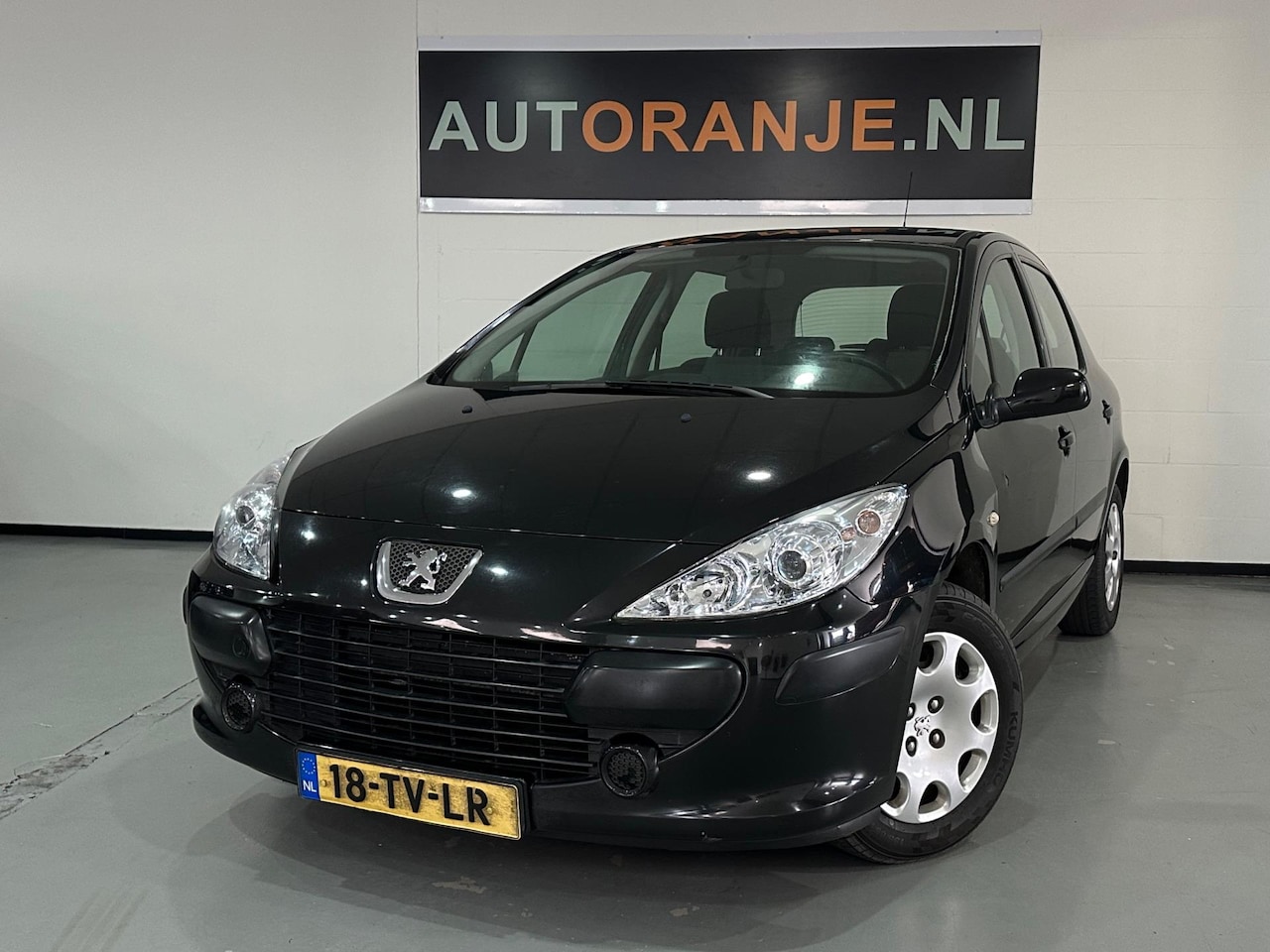 Peugeot 307 - 1.6-16V XS-Airco-Nette Staat! - AutoWereld.nl