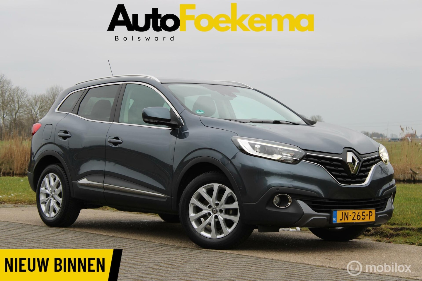 Renault Kadjar - 1.2 TCe Intens KEYLESS TREKHAAK LED HALF LEDER - AutoWereld.nl