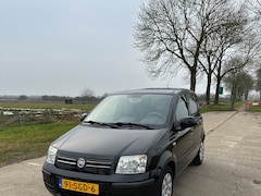 Fiat Panda - 1.2 Edizione Cool