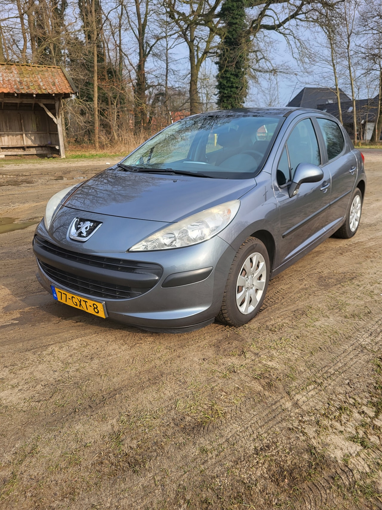 Peugeot 207 - 1.4 VTi XS - AutoWereld.nl