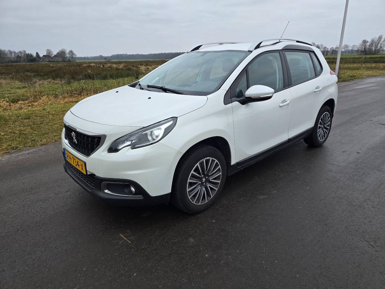 Peugeot 2008 - 1.2 PureTech Blue Lion I Parelmoerlakv I 2017 - AutoWereld.nl