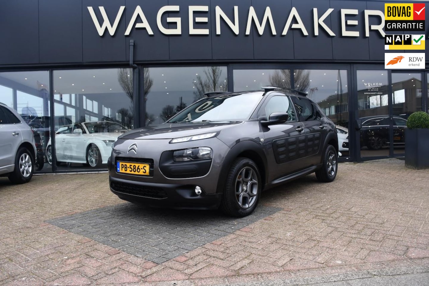 Citroën C4 Cactus - 1.2 PureTech Business Clima|Cruise|NAVI - AutoWereld.nl