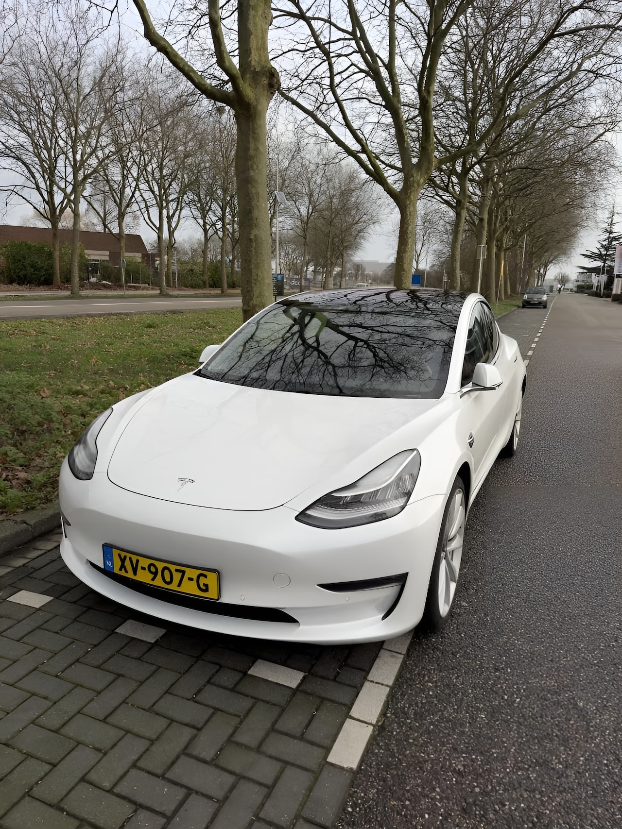 Tesla Model 3 - 75D Performance Tesla Model 3 PERFORMANCE AWD FSD + Garantie Inruil mogelijk - AutoWereld.nl