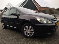 Peugeot 307 - 1.6-16V XS