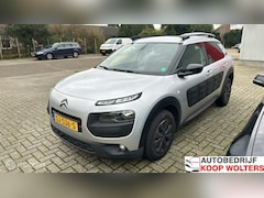 Citroën C4 Cactus - 1.6 BlueHDi 2015 Camera