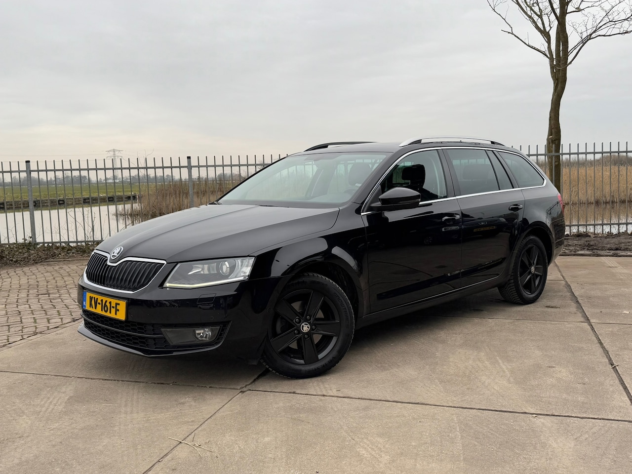 Skoda Octavia Combi - 1.0 TSI Greentech Style Business | Autm | Dak | Navi | Clima | Cruise | - AutoWereld.nl