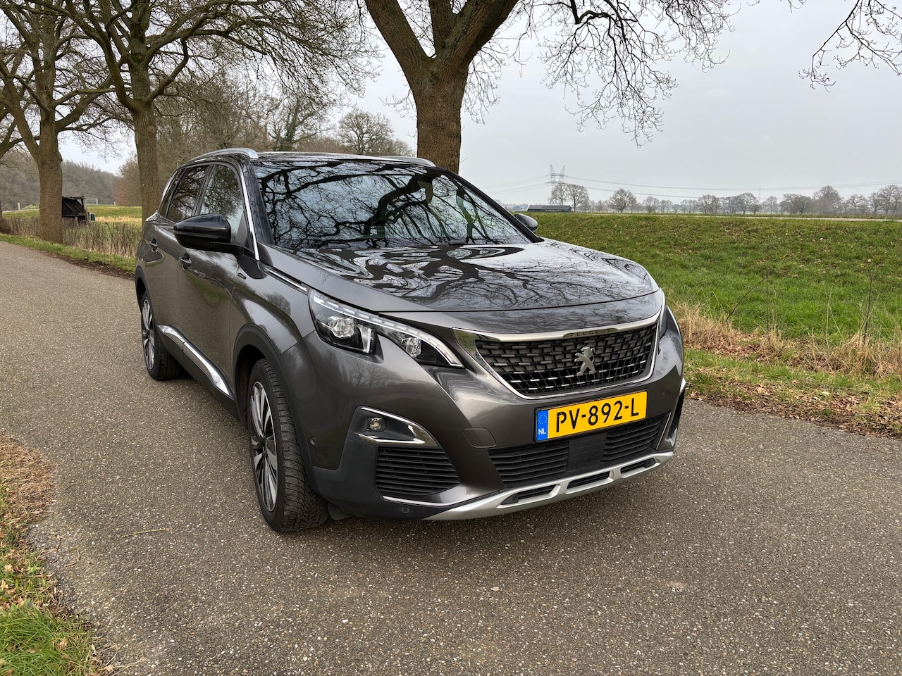 Peugeot 5008 - 1.2 PureTech Blue Lease Executive Met panorama en schuifdak - AutoWereld.nl