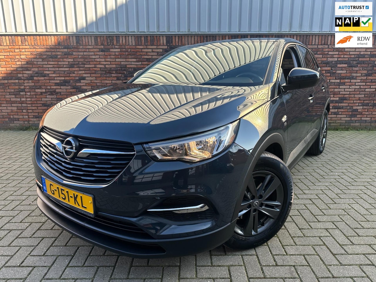 Opel Grandland X - 1.2 Turbo 120 Jaar Edition 1.2 Turbo 120 Jaar Edition - AutoWereld.nl