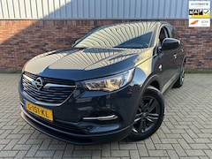 Opel Grandland X - 1.2 Turbo 120 Jaar Edition