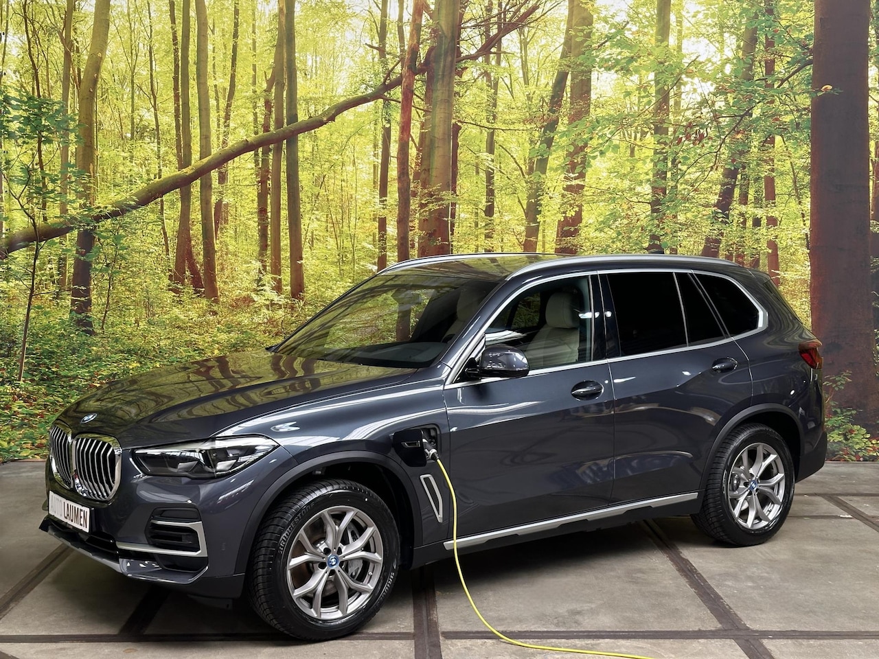 BMW X5 - xDrive45e High Executive X-Line Plug In Hybrid Aut. Luchtvering Leder Navi Camera Apple Ca - AutoWereld.nl