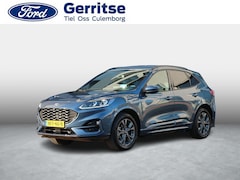 Ford Kuga - 2.5 PHEV ST-Line X * TECH PACK * WINTER PACK * AGR STOELEN