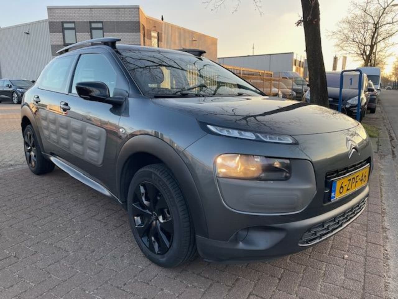 Citroën C4 Cactus - 1.2 e-VTi Business Automaat 130.000km Airco/ECC,Cruisecontrol - AutoWereld.nl