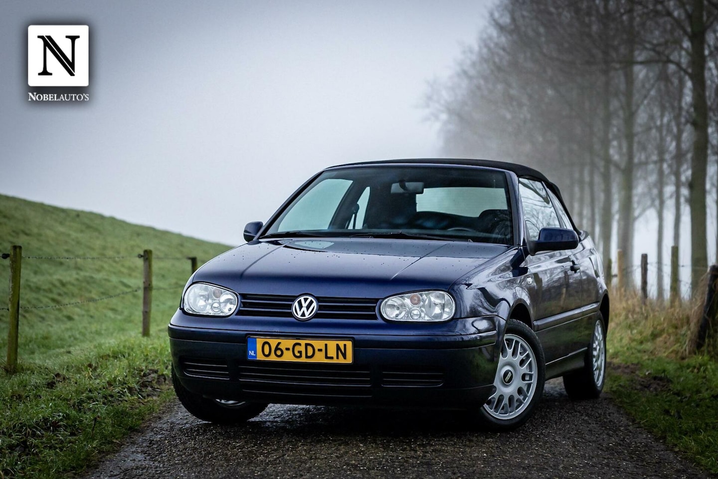 Volkswagen Golf Cabriolet - 1.8 Trendline| Elek ramen | BBS | Nap - AutoWereld.nl