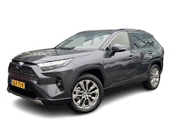 Toyota RAV4 - 2.5 Hybrid AWD Executive Premium Pack, Panodak