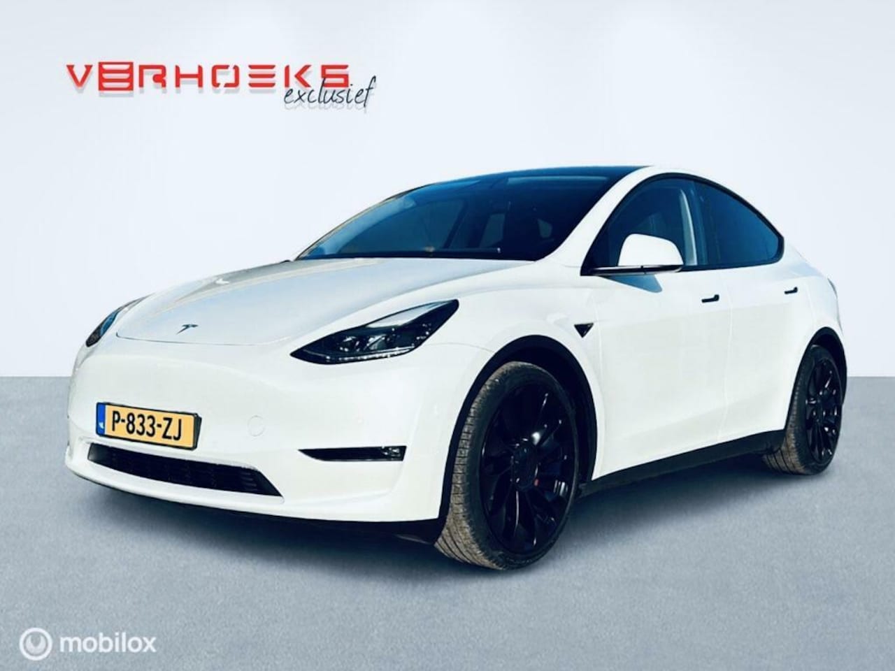 Tesla Model Y - Performance Enhanced Autopilot - AutoWereld.nl