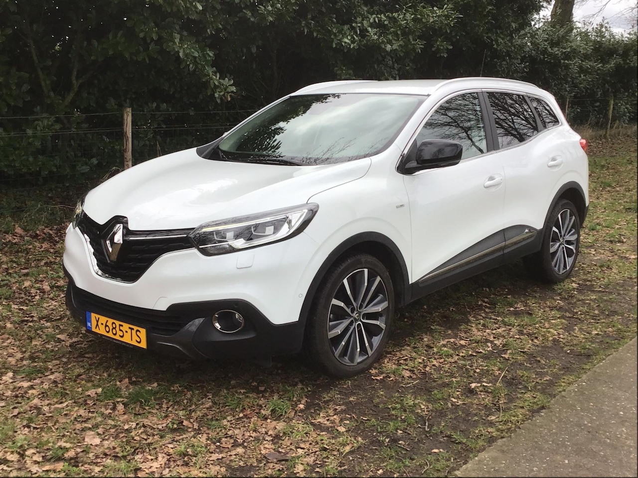 Renault Kadjar - 1.2 TCe Bose AUTOMAAT, in topstaat - AutoWereld.nl