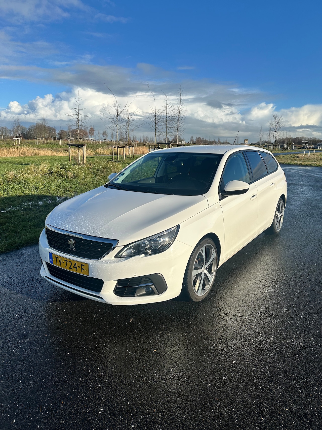 Peugeot 308 SW - 1.2 PureTech Active - AutoWereld.nl