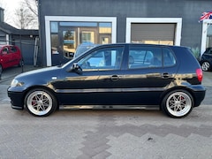 Volkswagen Polo - 1.6-16V GTI